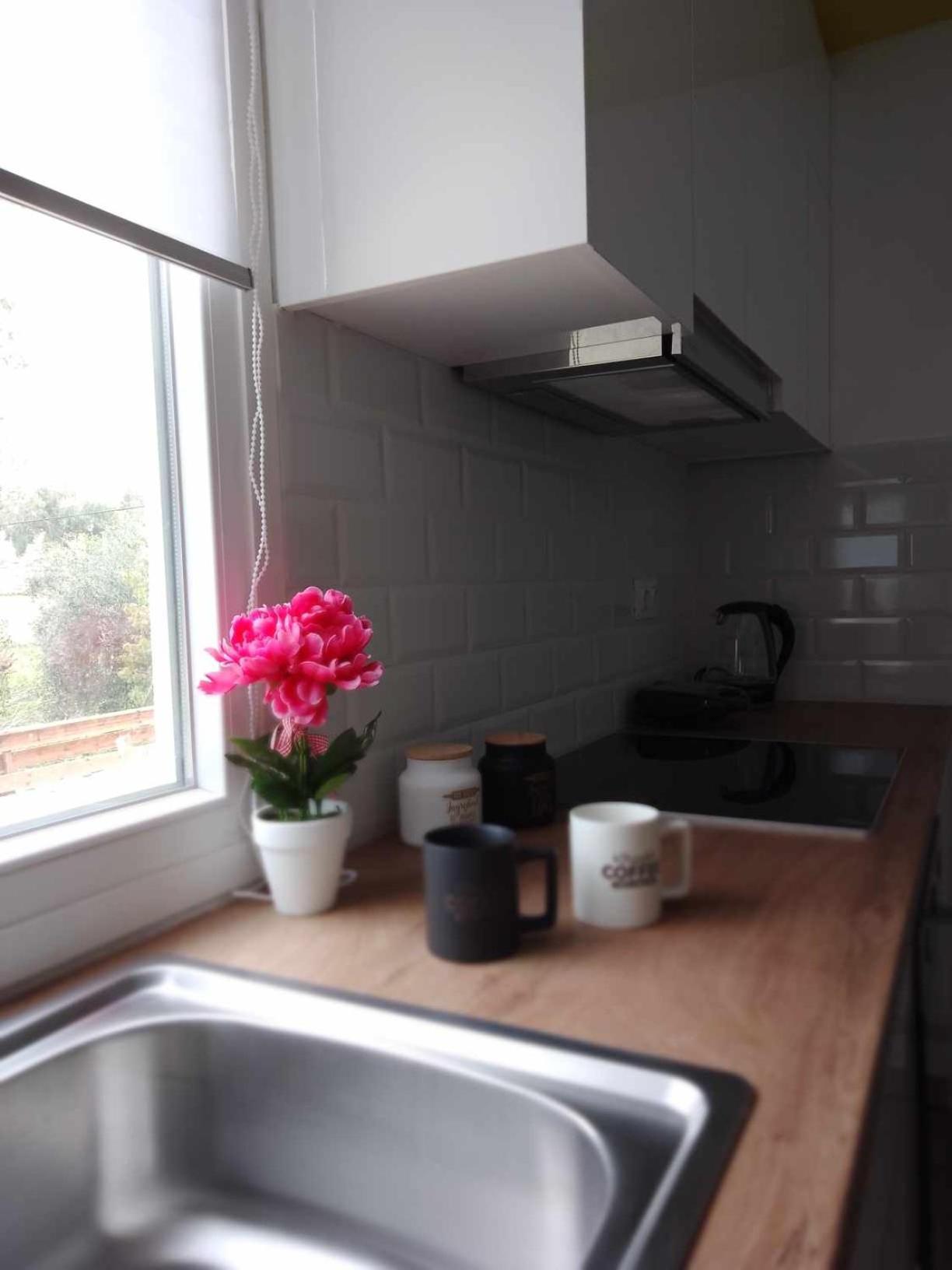 Afionas Cottage *