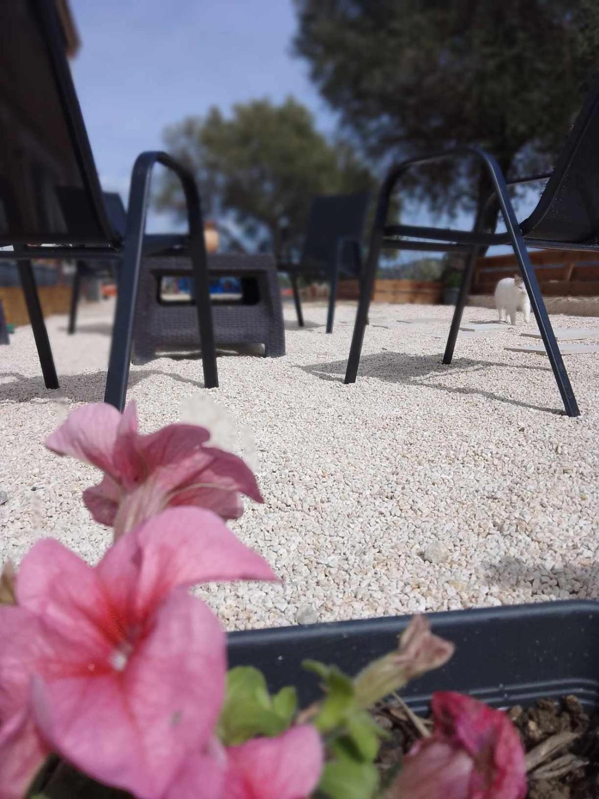 Afionas Cottage