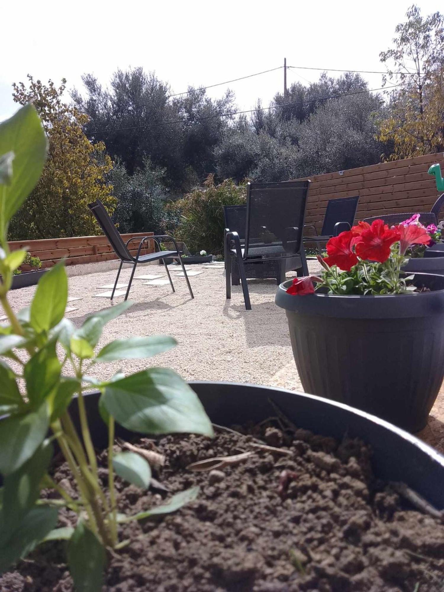 Apartment Afionas Cottage *